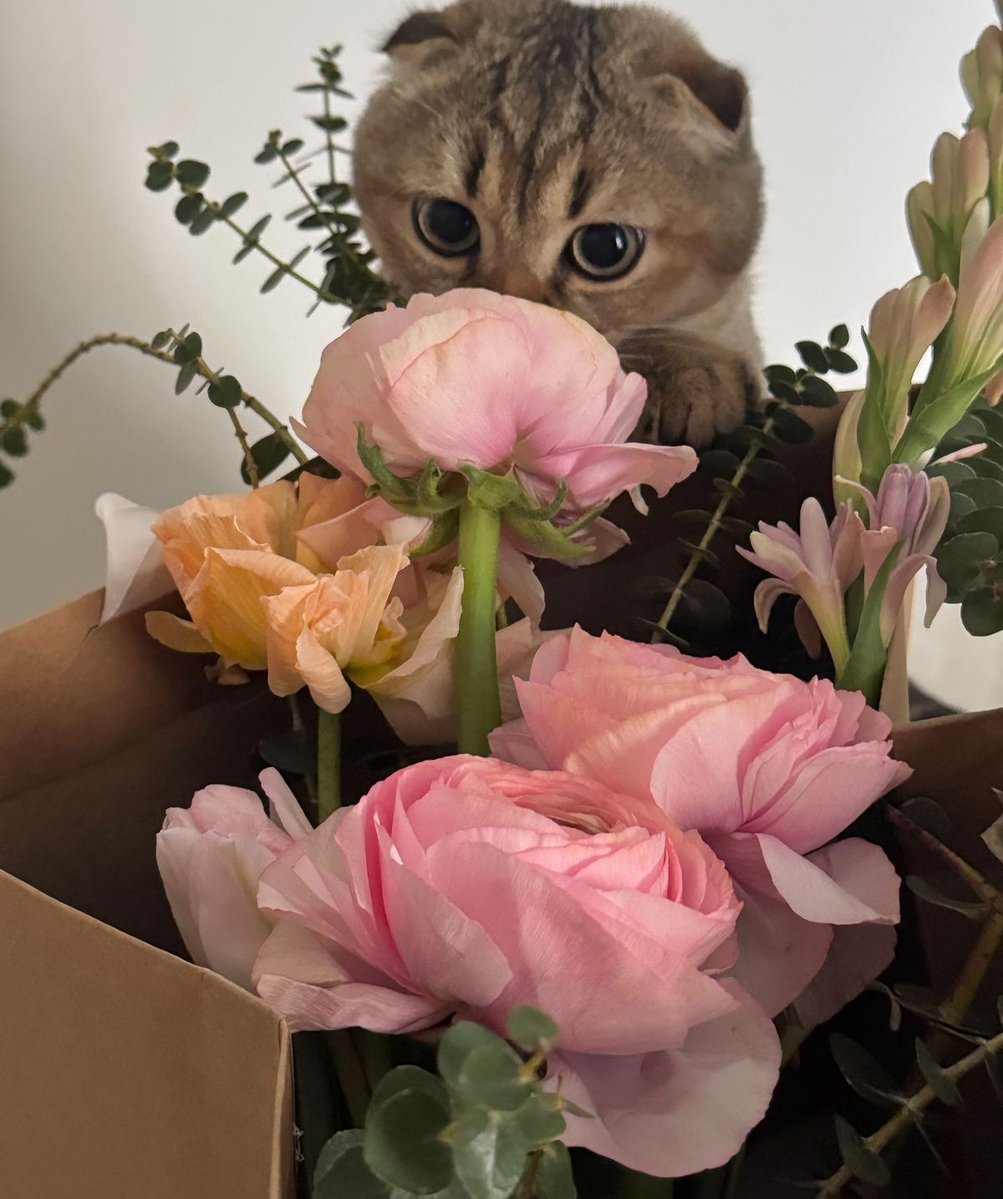 only cute things (@cutedreamvibes) on Twitter photo 