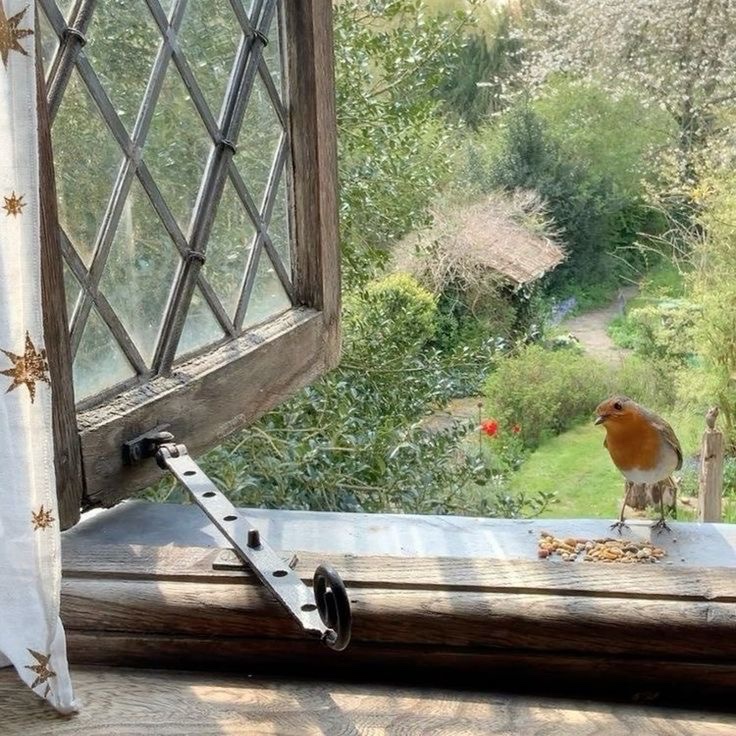 in an English country garden…