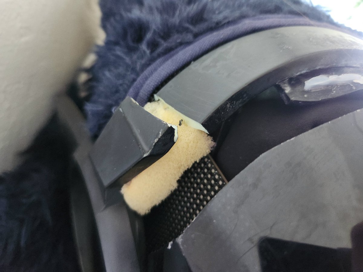 Rhythm 🔞 the gay creature tweet media