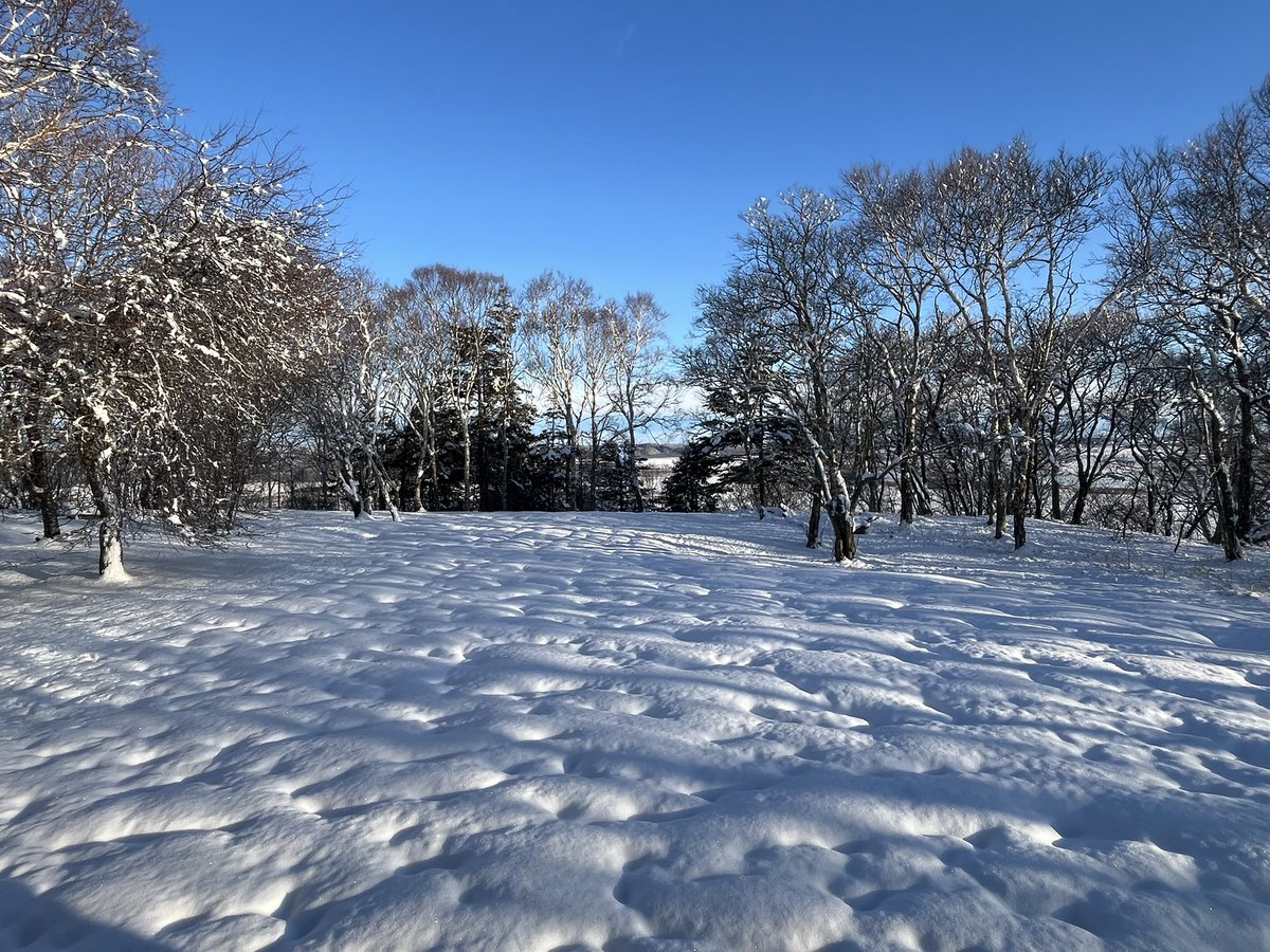 宿房 樺のん（霧多布） tweet media