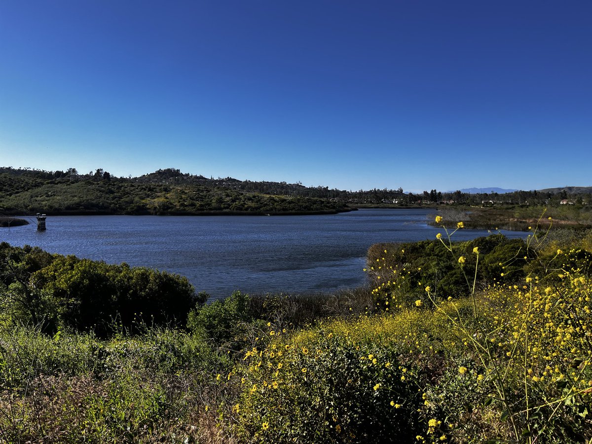 MichaelBoldin tweet media