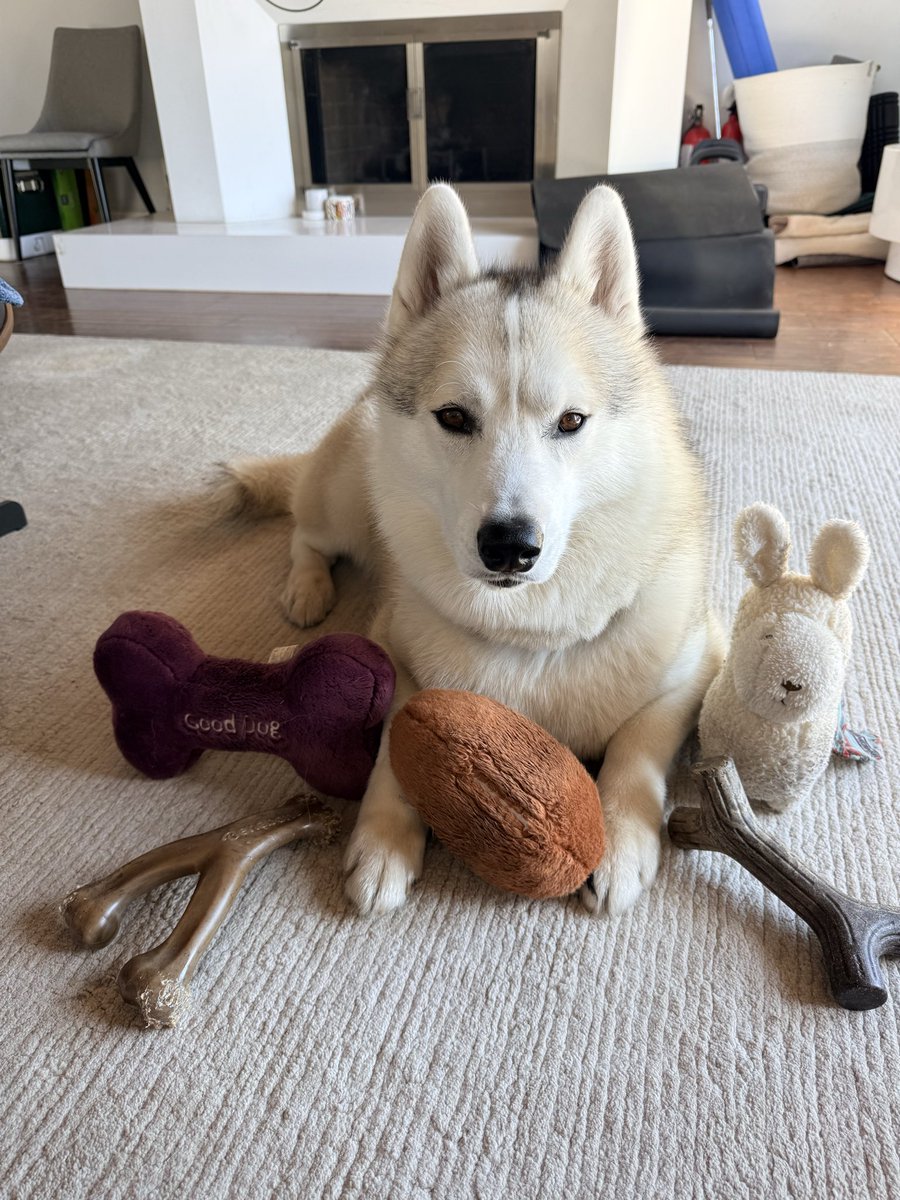 cynthia frelund tweet media