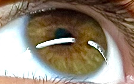 Ok_idk_what tweet media