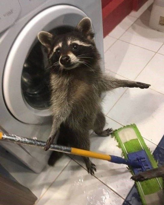 Probaremos este mod que encontré de pura suerte jsjs
twitch.tv/masserabyss 
twitch.tv/masserabyss
twitch.tv/masserabyss