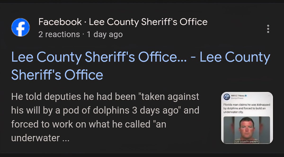 PatriotAsAMother 🇺🇸 tweet media