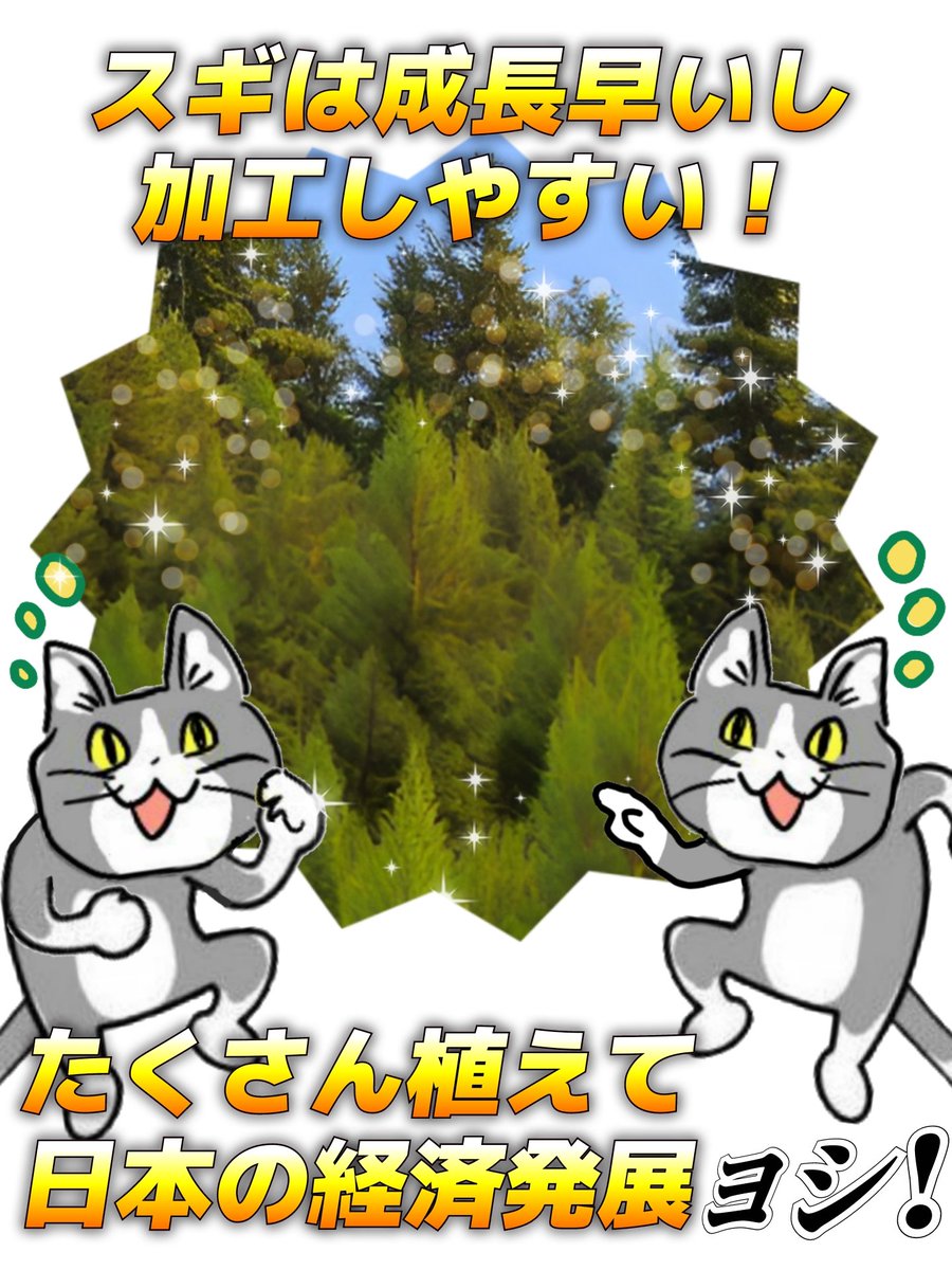 戦後の日本人「日本の未来と子どもたちのために、我々ができることはなんだろう…」 #現場猫