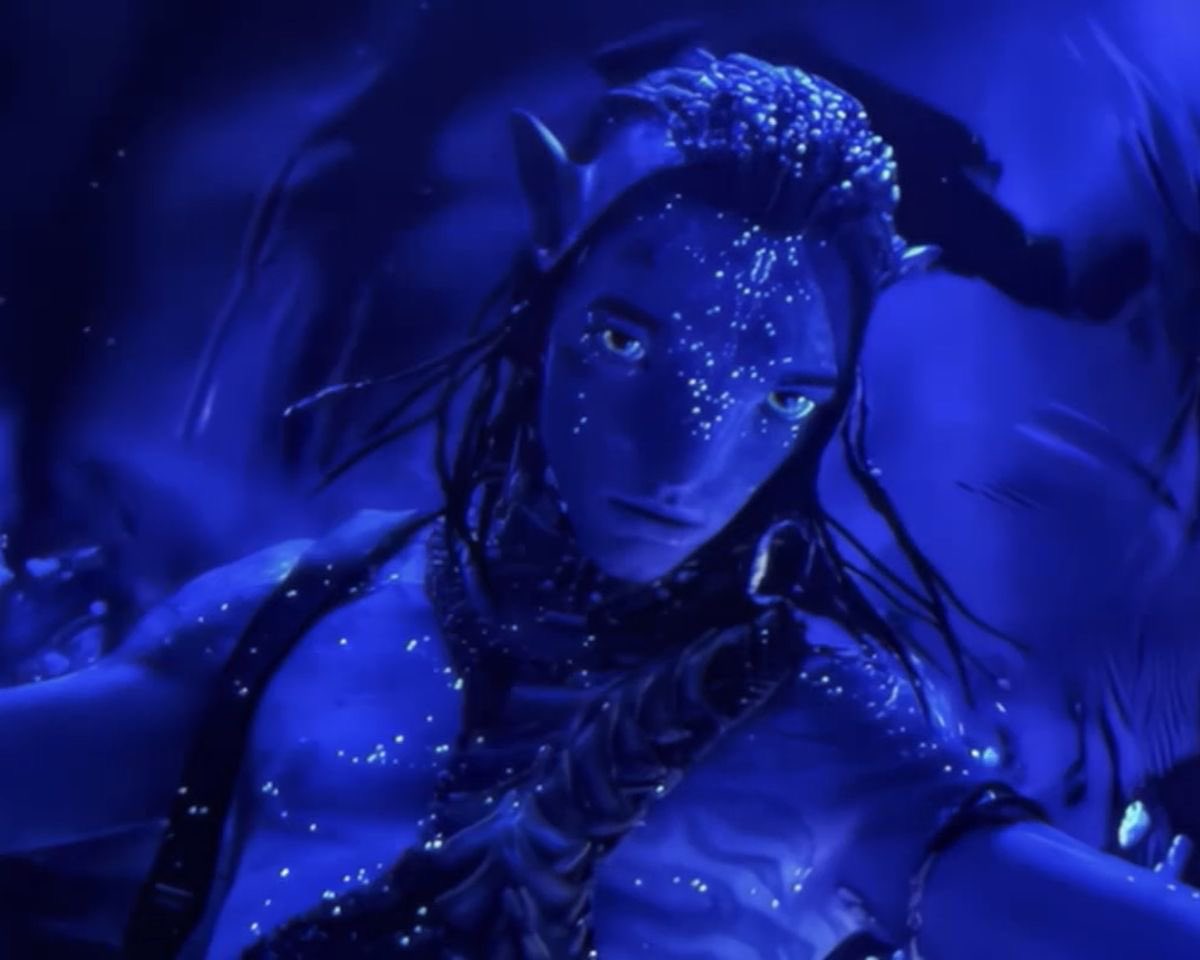 sese ୭ৎ ࣪ ׅ ⊹ tweet media