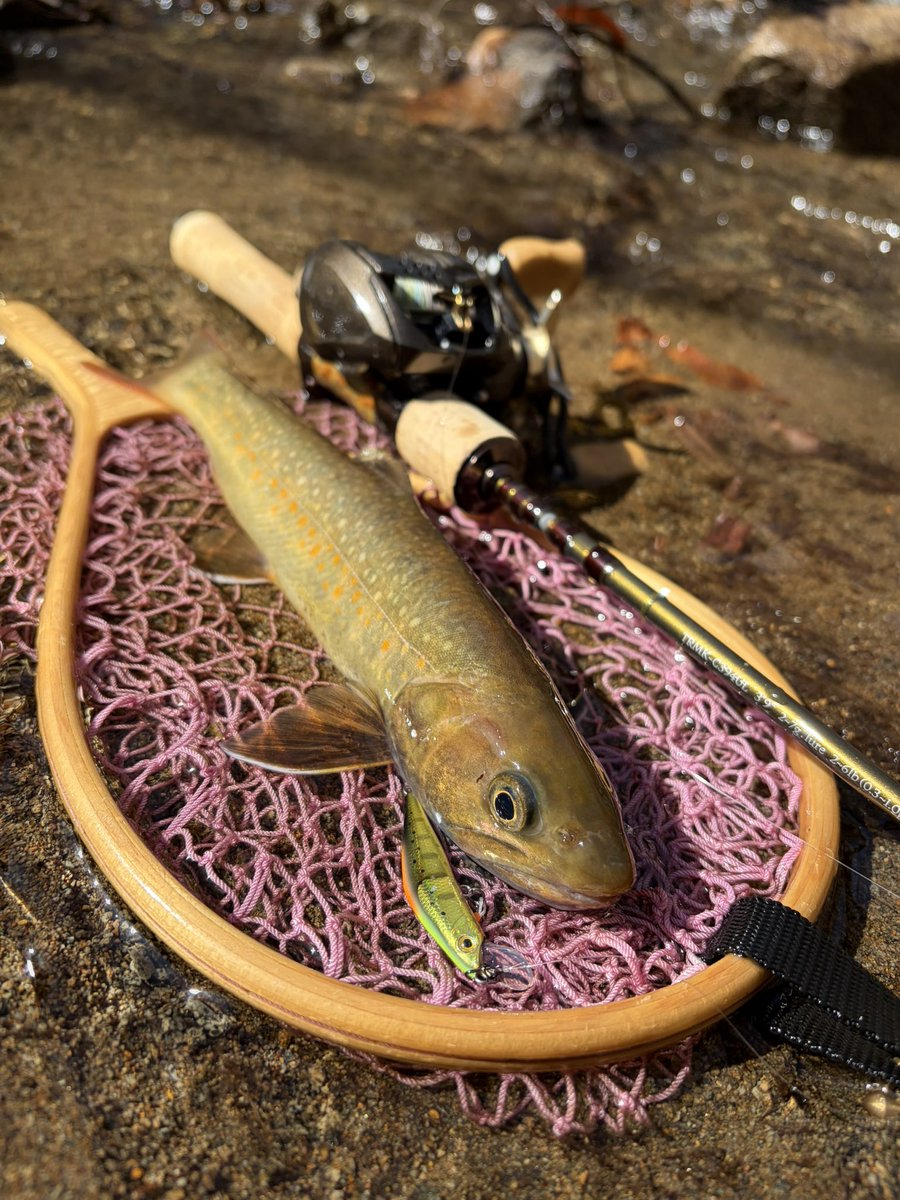 ogatyunity tweet media