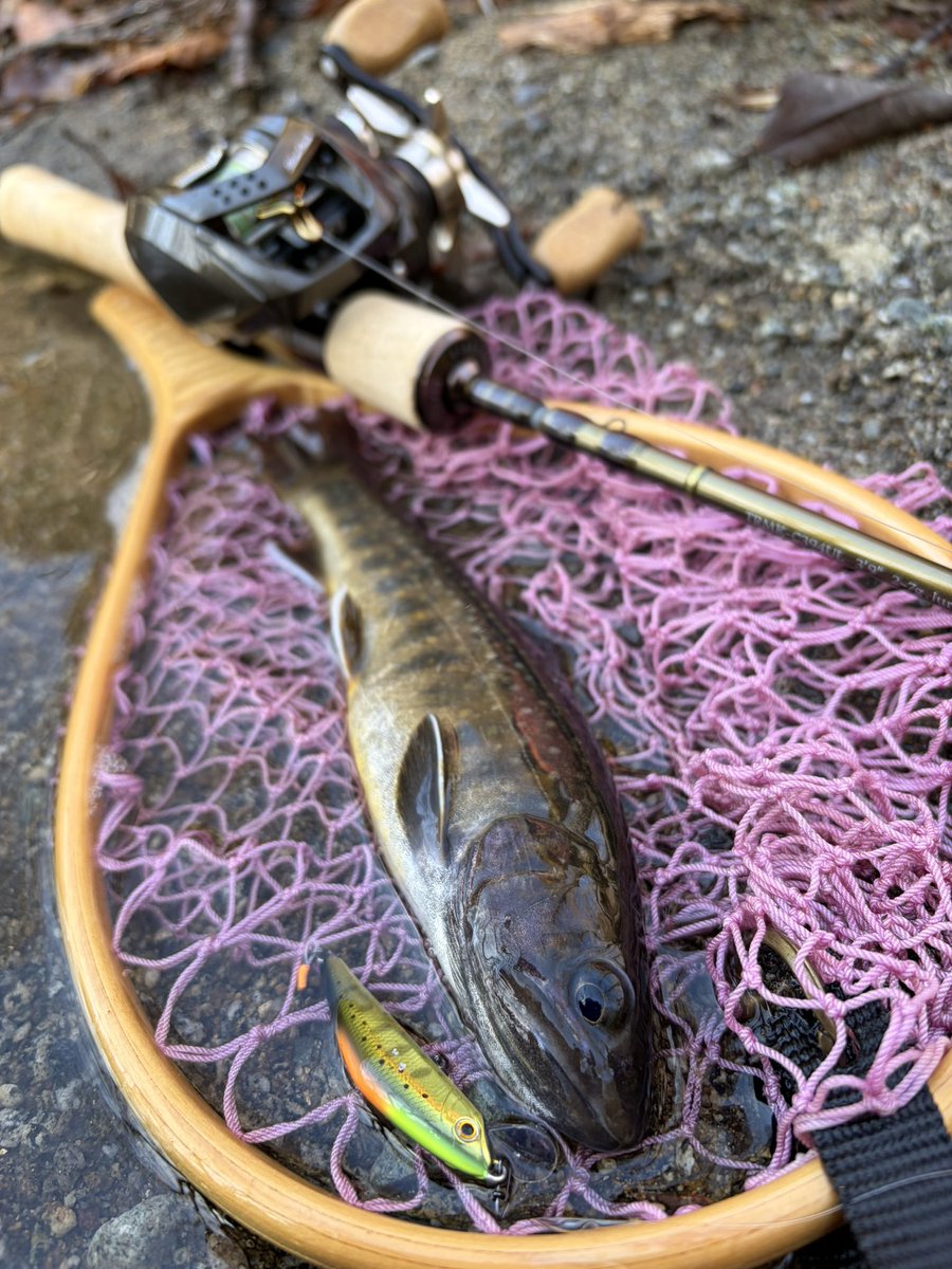 ogatyunity tweet media