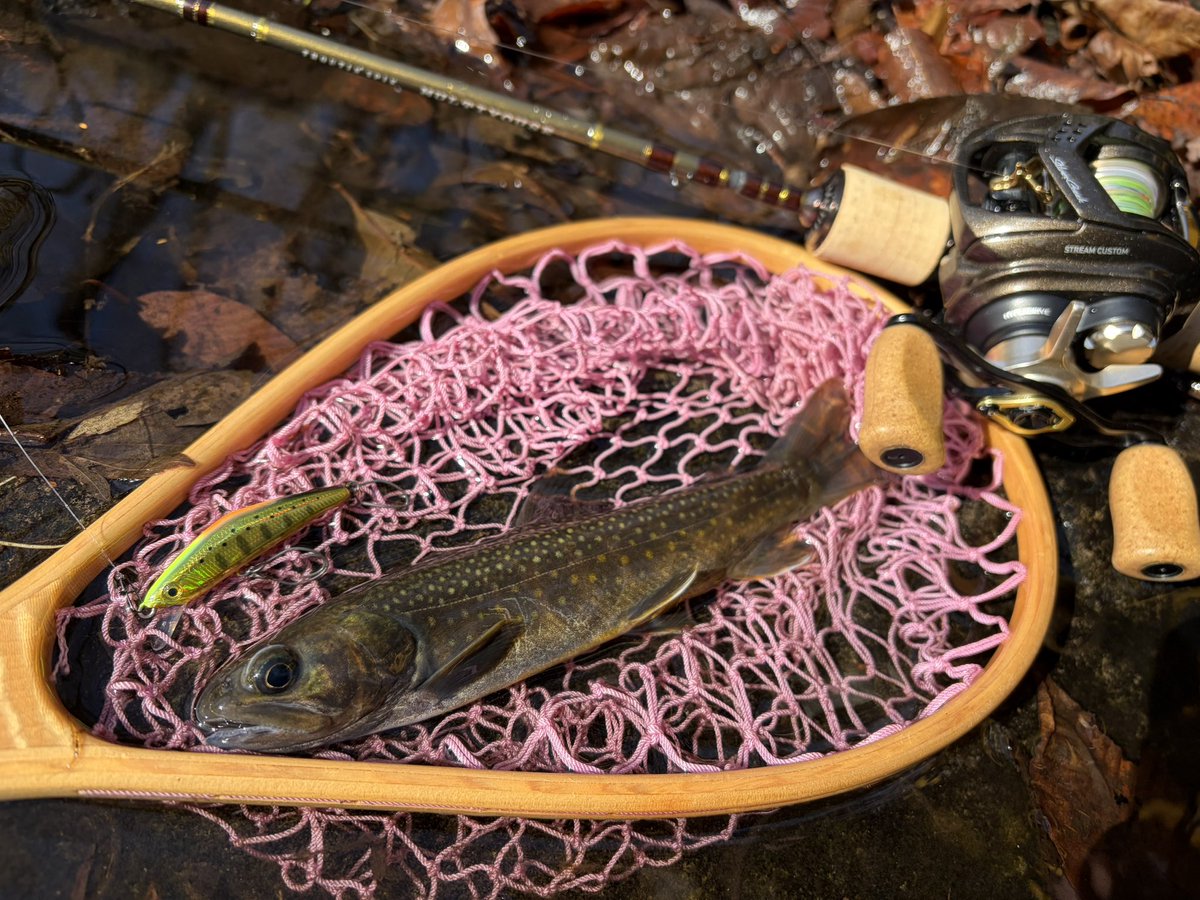 ogatyunity tweet media