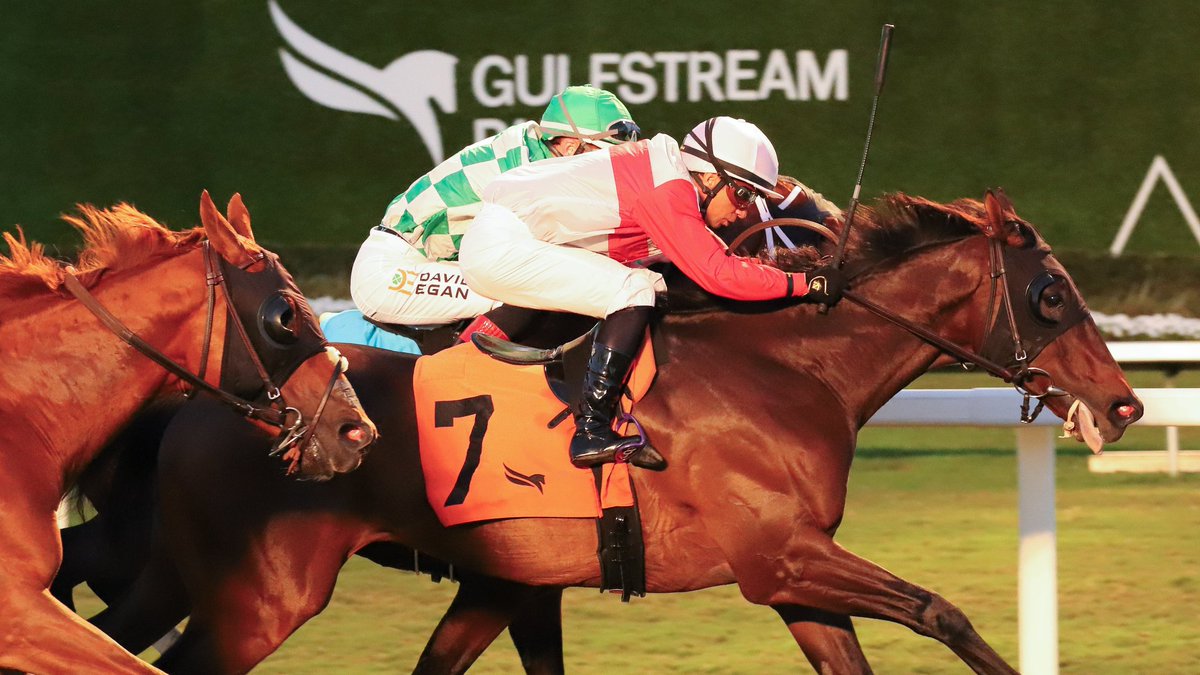 Gulfstream Park tweet media