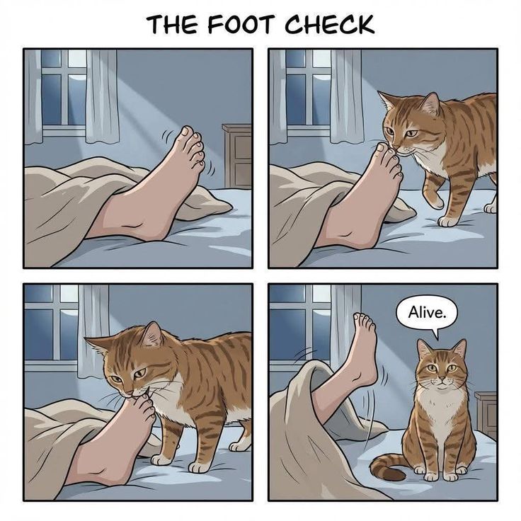 Posts Of Kittens🐾 tweet media