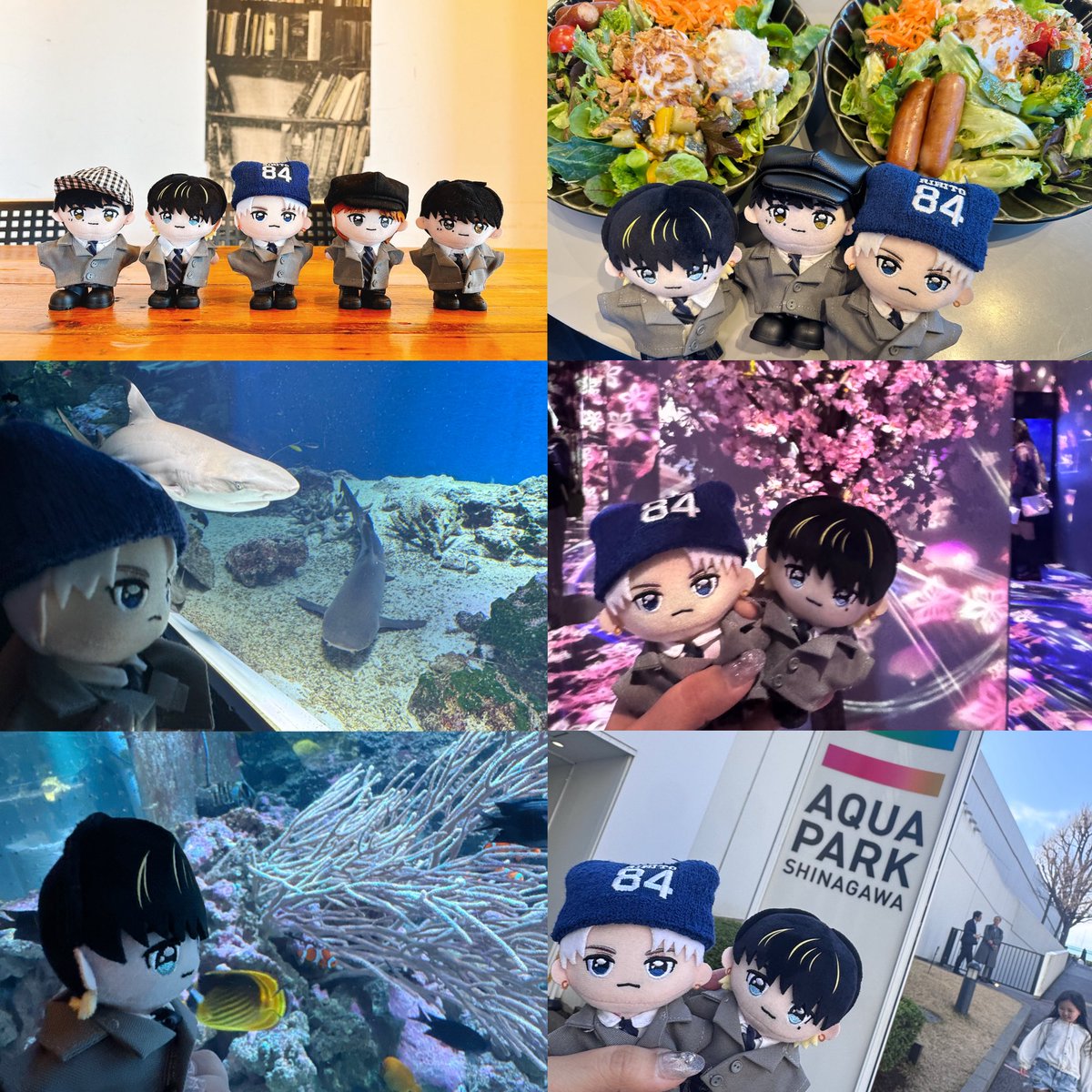 rihimini0830tom's tweet photo. 気になってたけど行ってなかった品川の聖地へ！ランチも美味しいし、店員さんも凄い優しかった🥺水族館も凄い素敵でショーも楽しかったしあっという間だったなー🥰また行きたい
#INI_ぬい活 #ぬい活　#大夢　#GOODMORNINGCAFE https://t.co/9gc8OiP6TZ