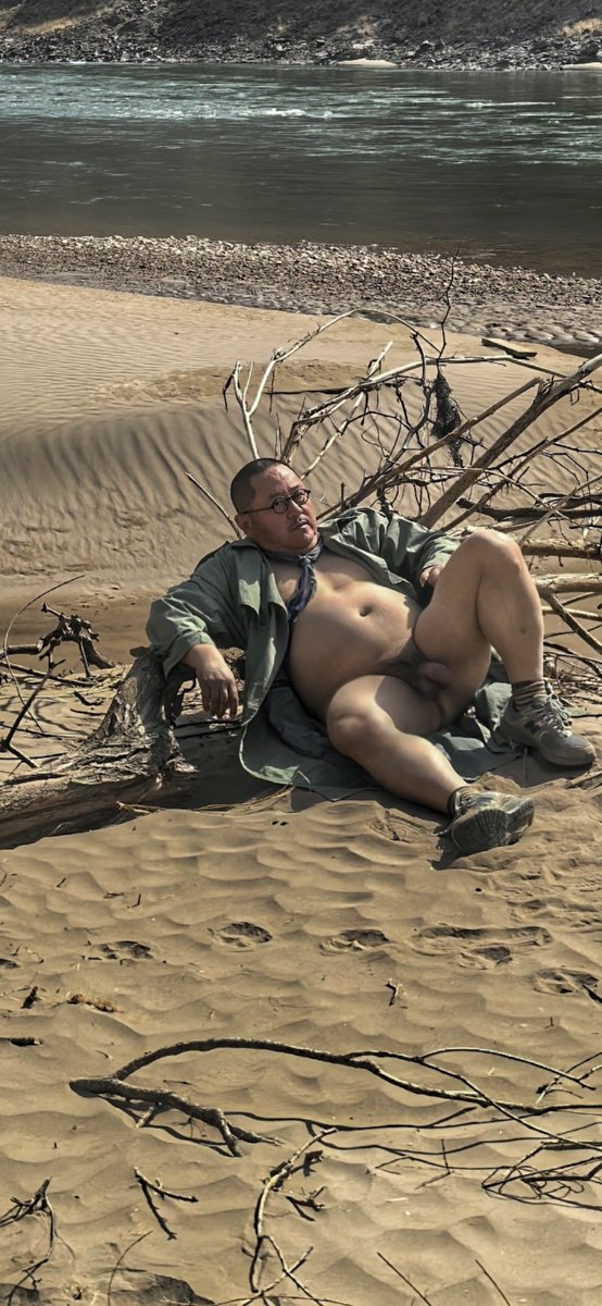 针叶林的世界 tweet media