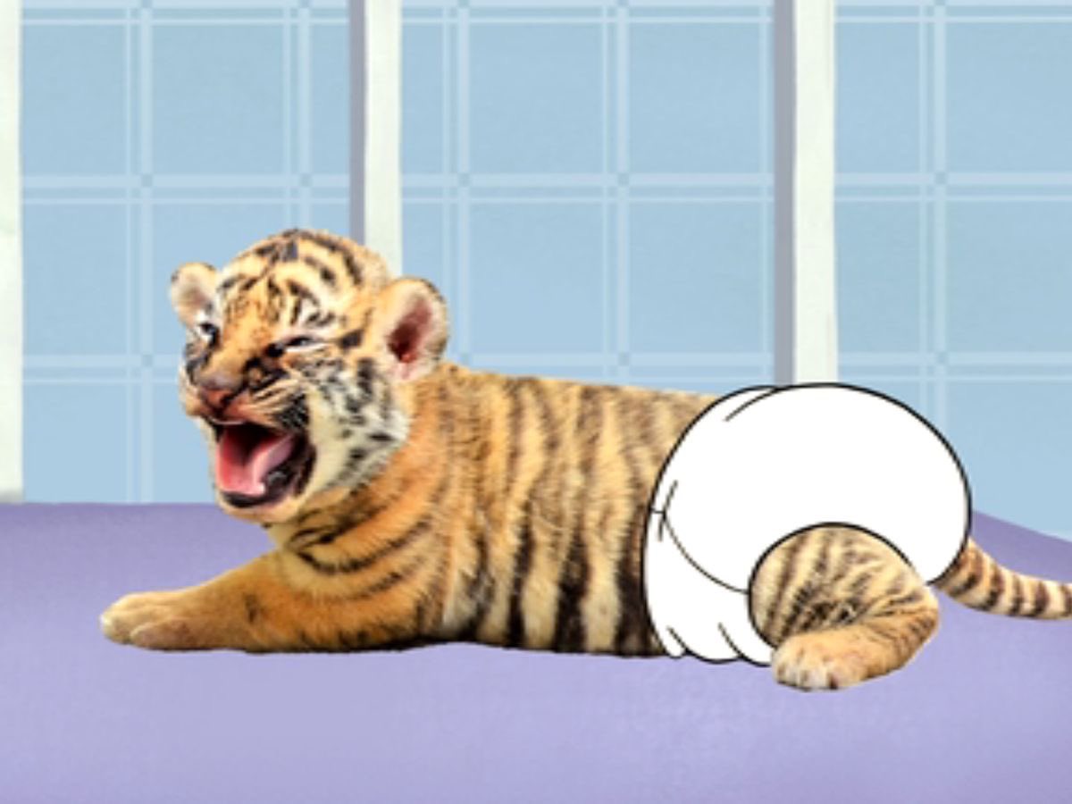 frankie steins gay uncle tweet media