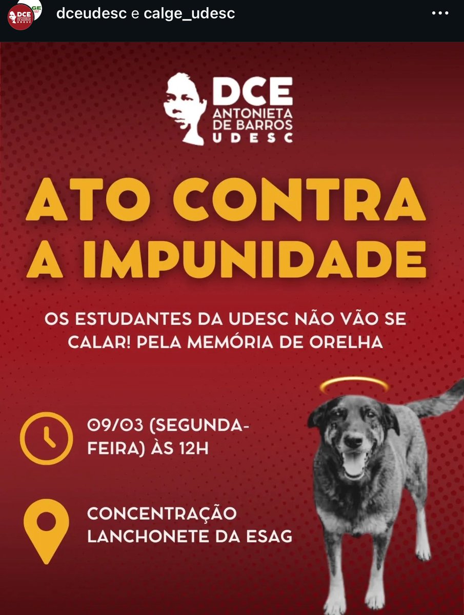 kaarolzx's tweet photo. CASO ORELHA

O Diretório Central dos Estudantes da faculdade UDESC, mesma faculdade que o assassino matador da cães achou que por ter dinheiro ficaria ninguém falaria nada, organizou um protesto entre os estudantes DENTRO da faculdade em prol da expulsão dele. 

NÃO TERÃO PAZ https://t.co/9DvSOjeNpC