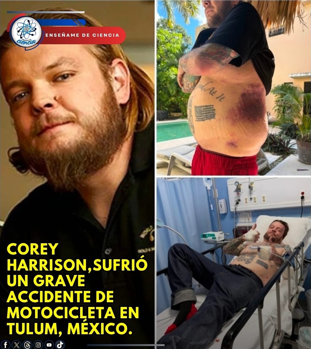 Enséñame de Ciencia tweet media