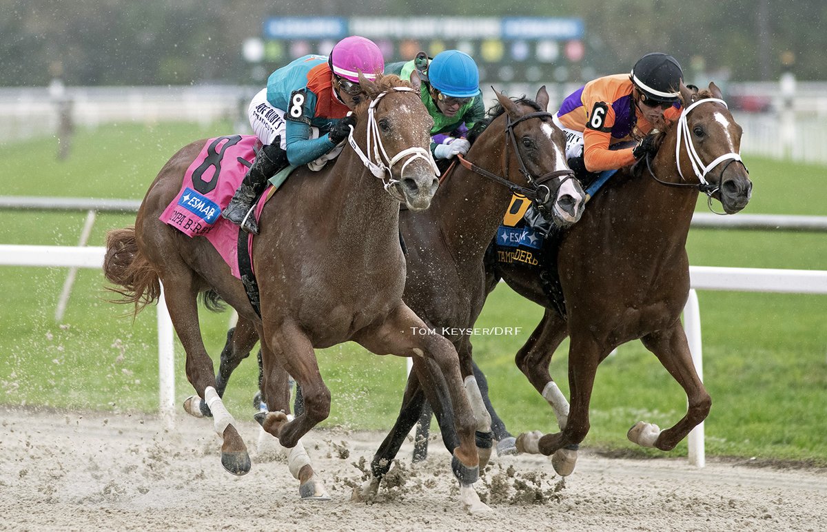 Barbara D. Livingston tweet media