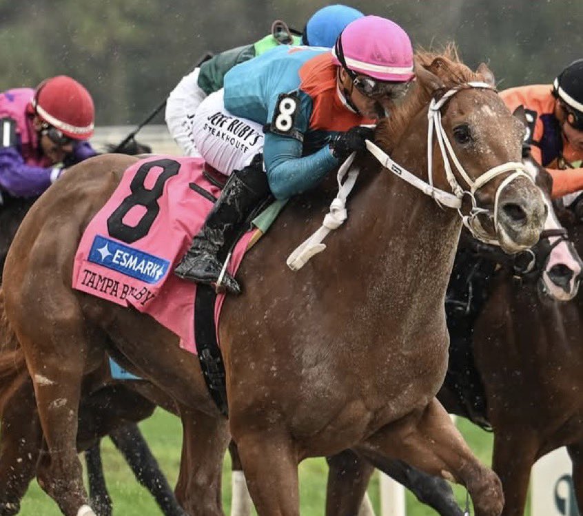 Stakes Winners 🏆 tweet media