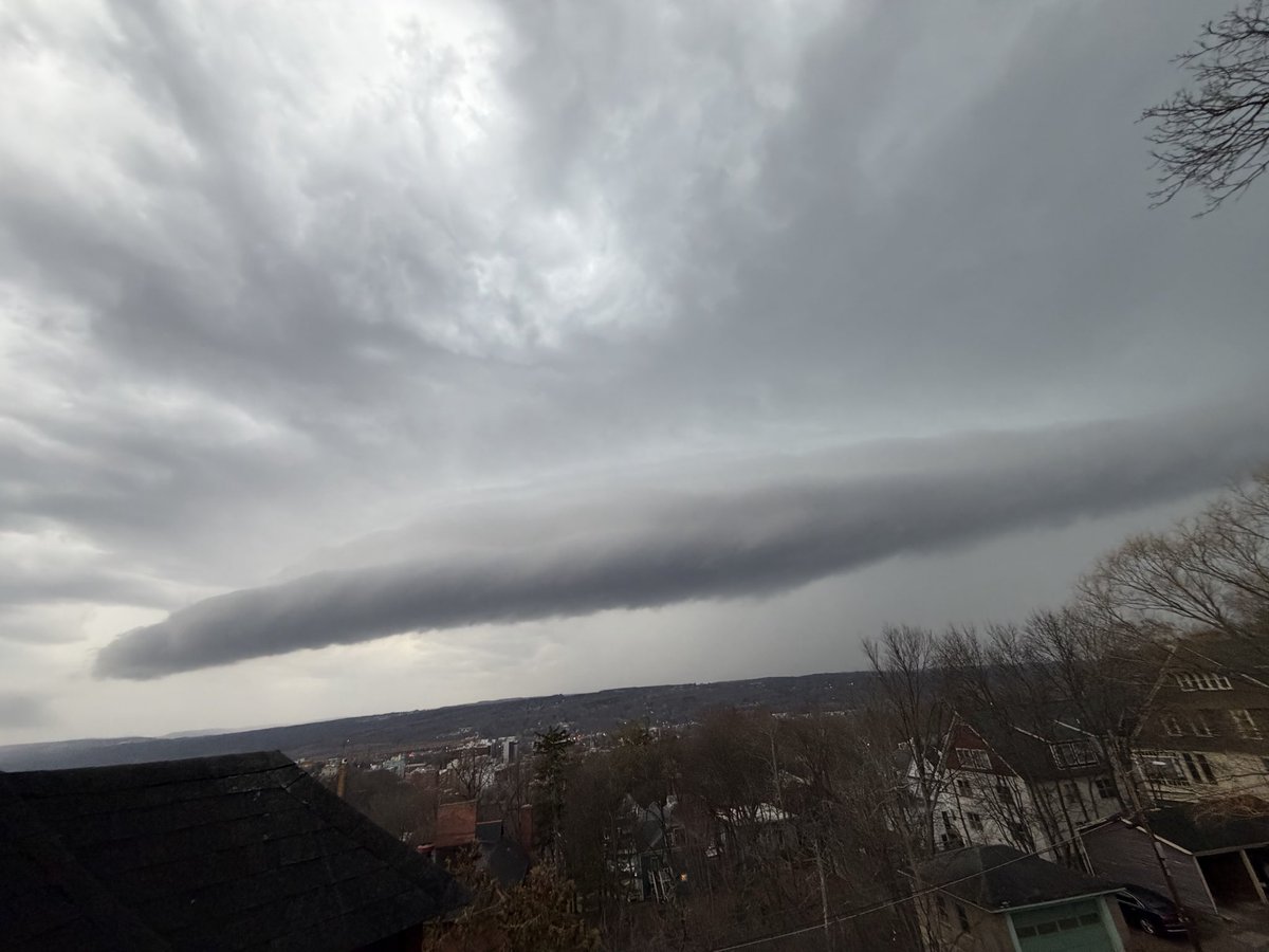 MyRadar Weather tweet media