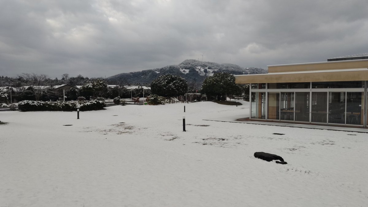 SHIGE_labo's tweet photo. 【一か月ぶりの新雪❄】

今朝の鳥取市若葉台
夜の雨が雪に変わり、キャンパスは一面真っ白に！
サクラのつぼみも、びっくりしているかもしれませんね（*^^*）

#公立鳥取環境大学 #鳥取 #雪 #サクラ #ソメイヨシノ https://t.co/aoEB24nLN2