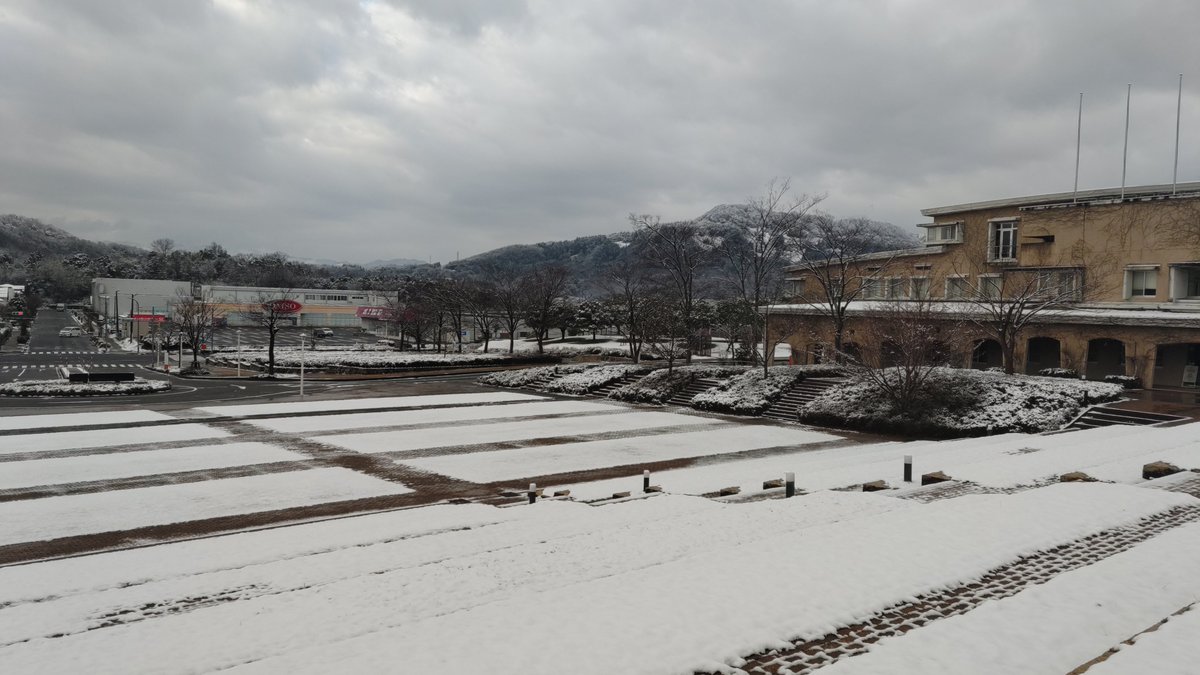 SHIGE_labo's tweet photo. 【一か月ぶりの新雪❄】

今朝の鳥取市若葉台
夜の雨が雪に変わり、キャンパスは一面真っ白に！
サクラのつぼみも、びっくりしているかもしれませんね（*^^*）

#公立鳥取環境大学 #鳥取 #雪 #サクラ #ソメイヨシノ https://t.co/aoEB24nLN2