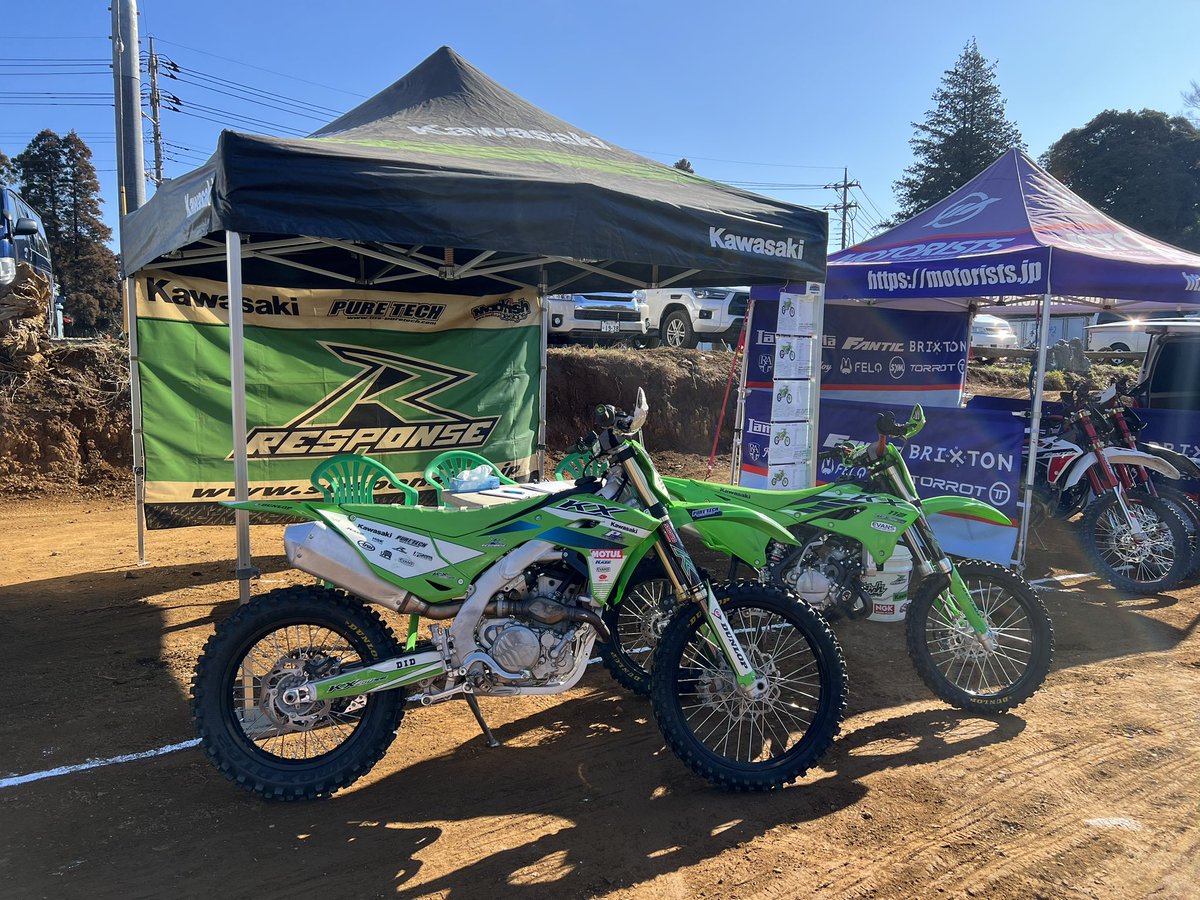 ピュアテック 皇帝ペンギン様 tweet media