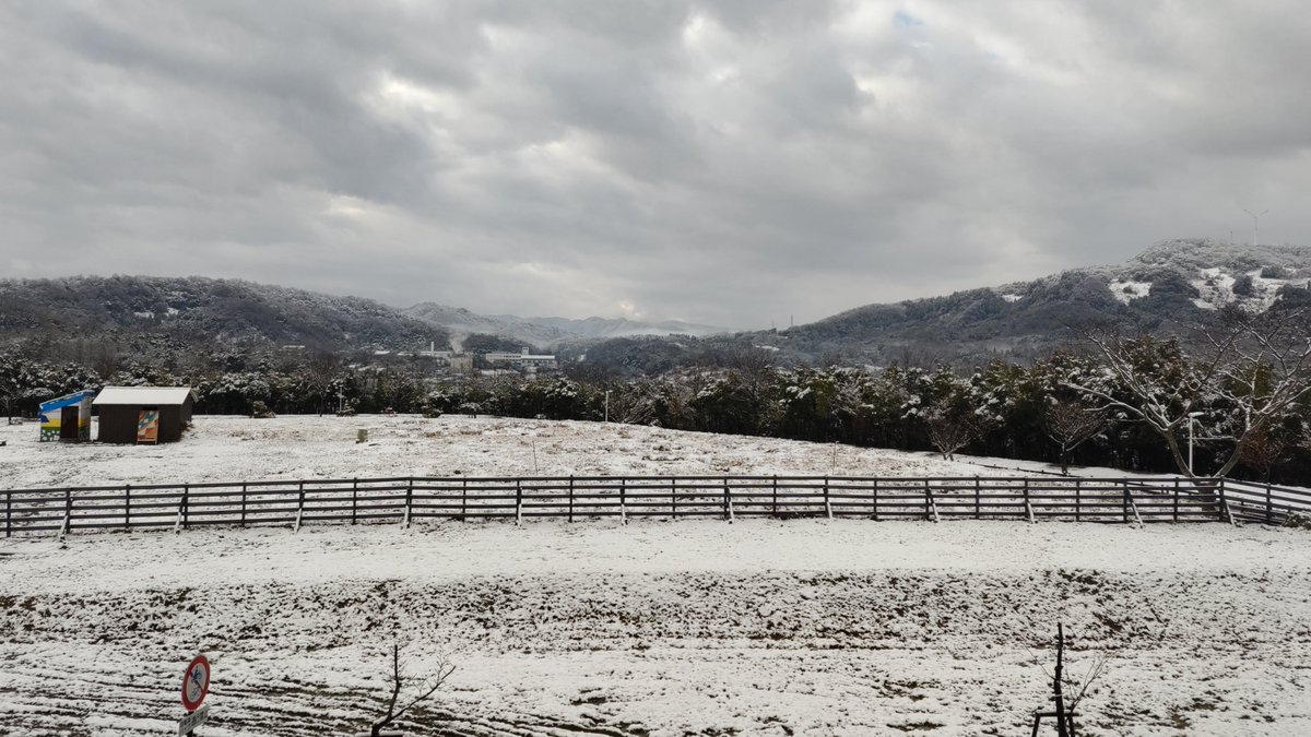 SHIGE_labo's tweet photo. 【一か月ぶりの新雪❄】

今朝の鳥取市若葉台
夜の雨が雪に変わり、キャンパスは一面真っ白に！
サクラのつぼみも、びっくりしているかもしれませんね（*^^*）

#公立鳥取環境大学 #鳥取 #雪 #サクラ #ソメイヨシノ https://t.co/aoEB24nLN2