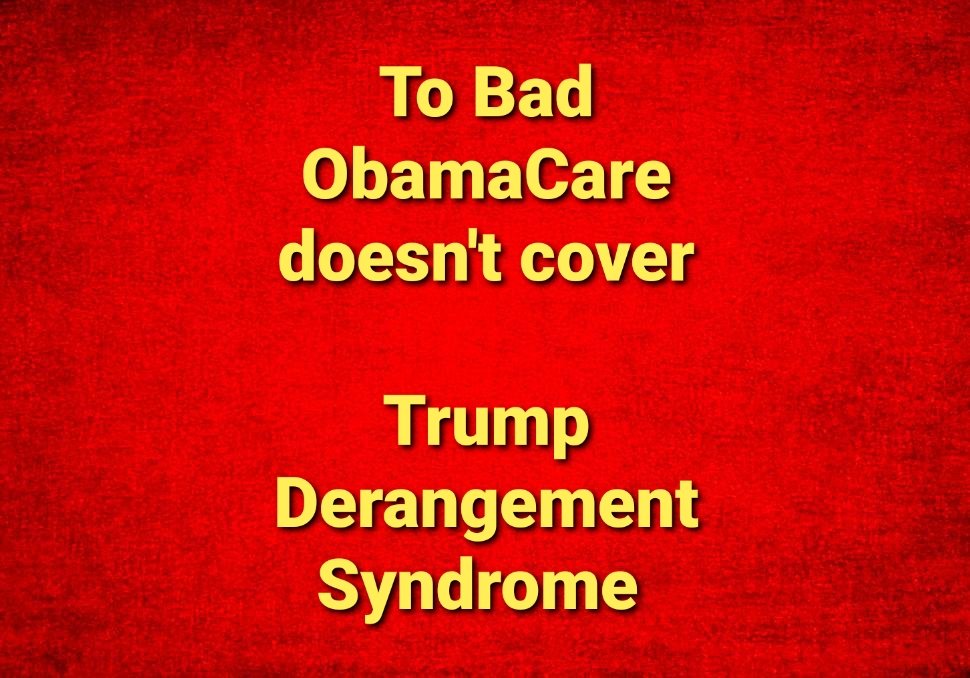 Thomas O'Connor '62 baby, #GodBlessAmerica 🇺🇲 tweet media