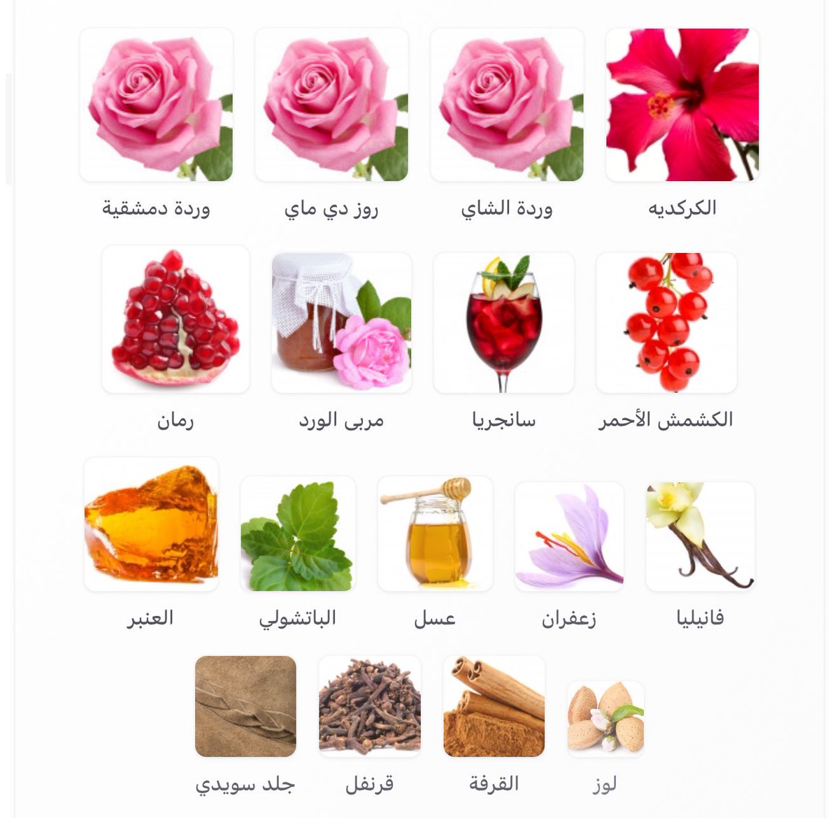 Rosa Raimunda Strangers Parfumerie
🌸🌸🌹🌹
ورده داكنه 🌹
رحلة عطرية نابضة بالحياة
يتنقل بين الورد والفاكهة والنفحات الدافئة دون أن يستقر على نغمة واحدة. 🌹
عطر متقلب يكشف كل لحظة جانبًا مختلفًا
ليبقى مليئًا بالحيوية والتجدد حتى آخر أثر. 
عطر صُنع حرفيًا لعشّاق الورد الحقيقيين.