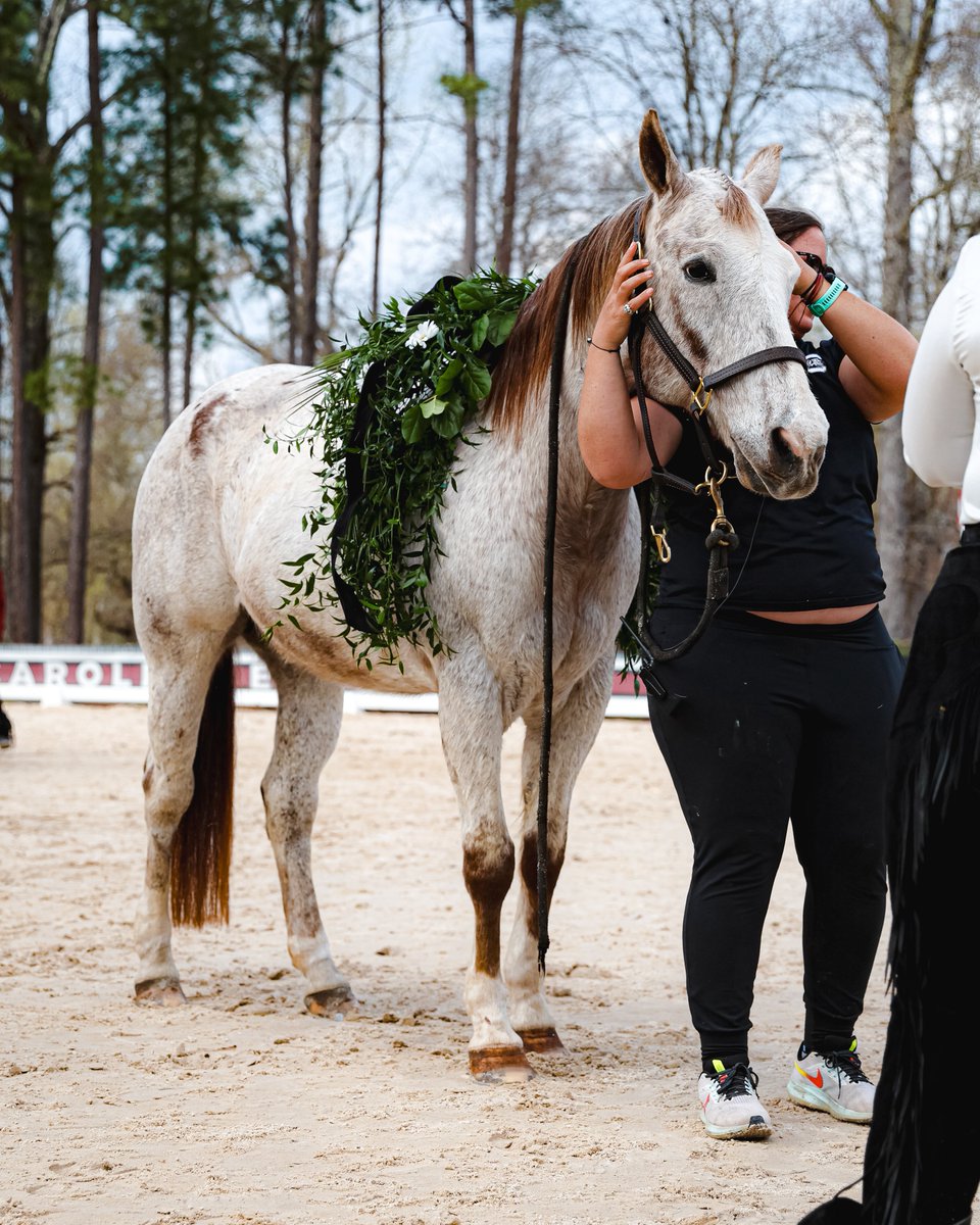 South Carolina Equestrian tweet media
