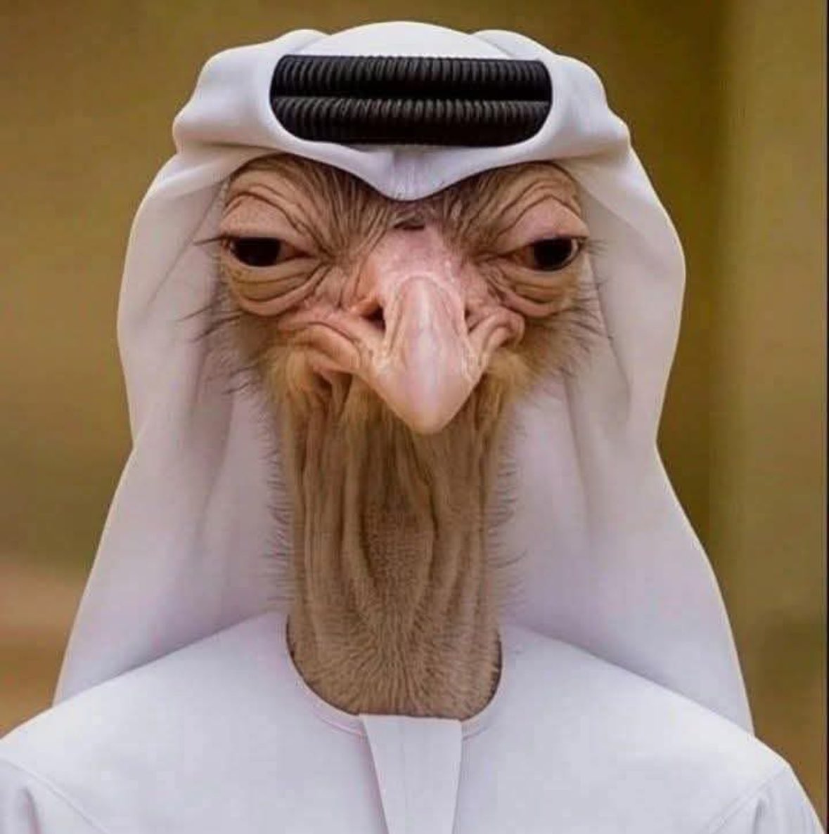 الروقـــي 🇸🇦 tweet media
