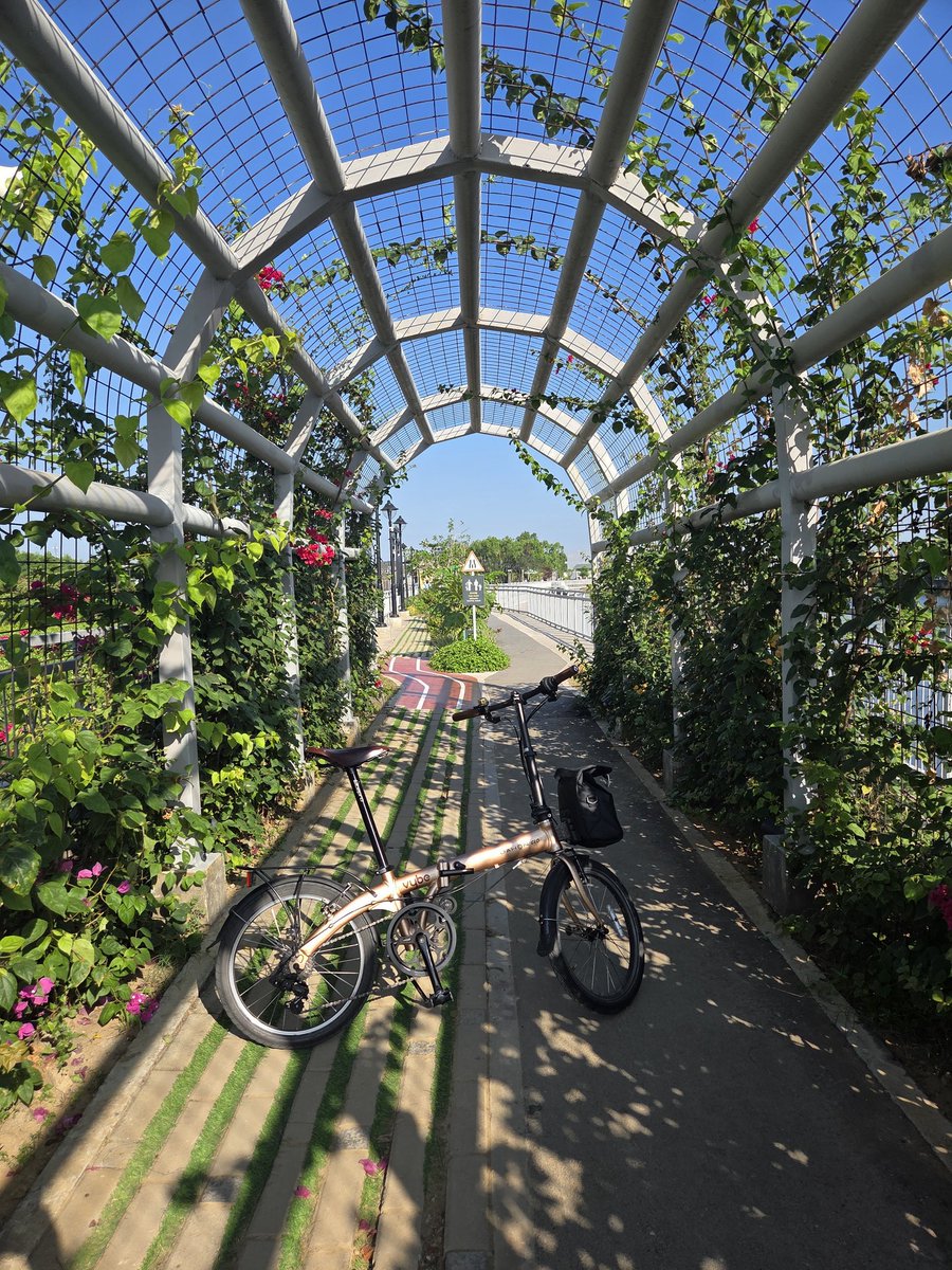 Mong Palatino tweet media