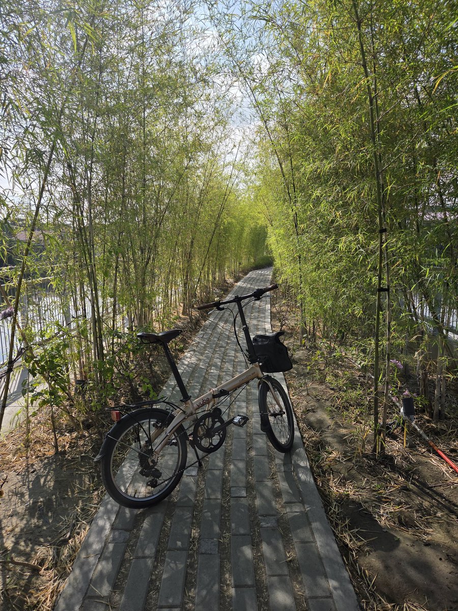 Mong Palatino tweet media