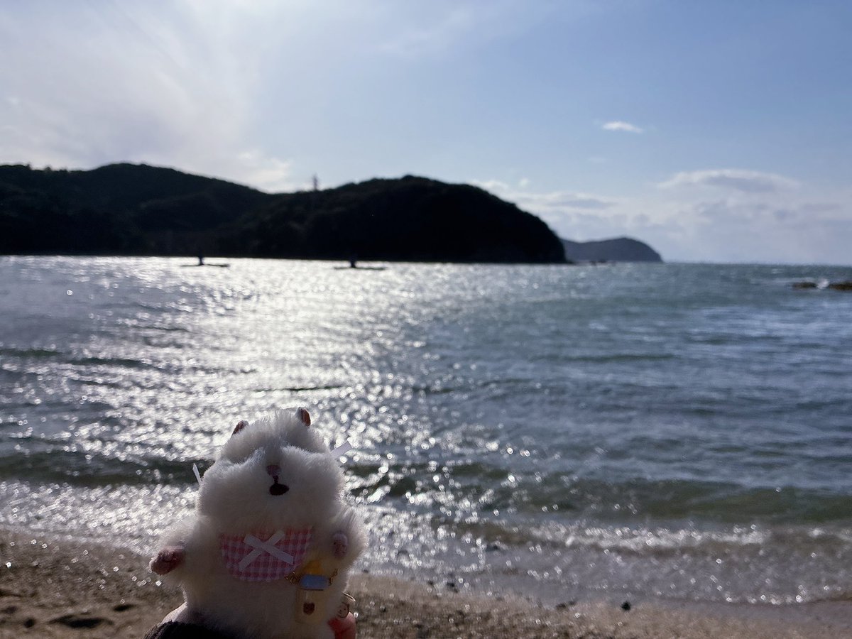 ちいも。 tweet media