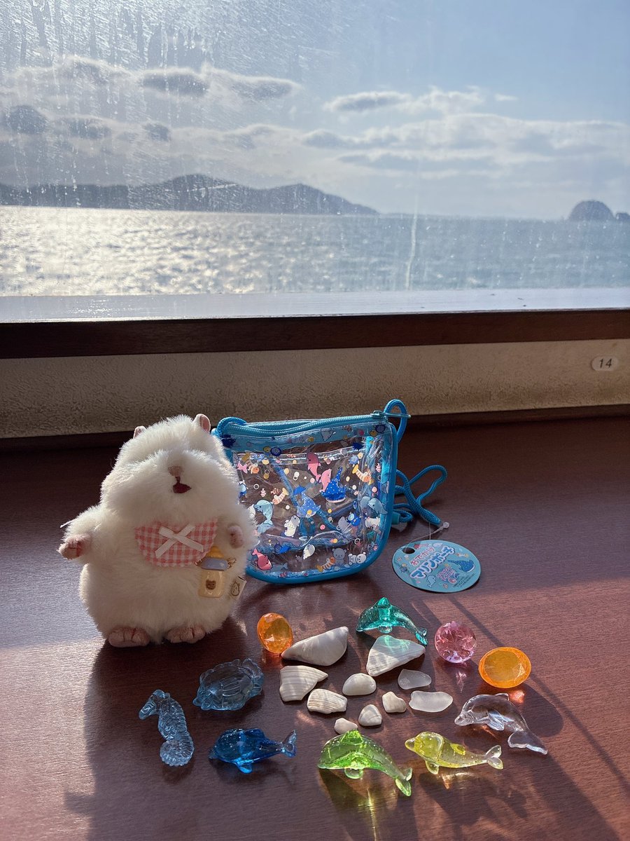 ちいも。 tweet media