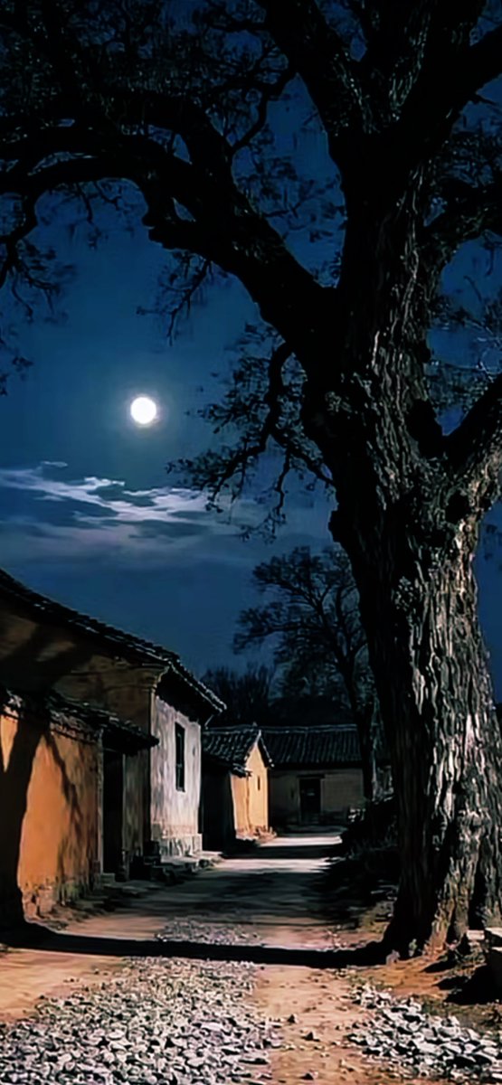 ‏علي الحلافي 🇸🇦 tweet media