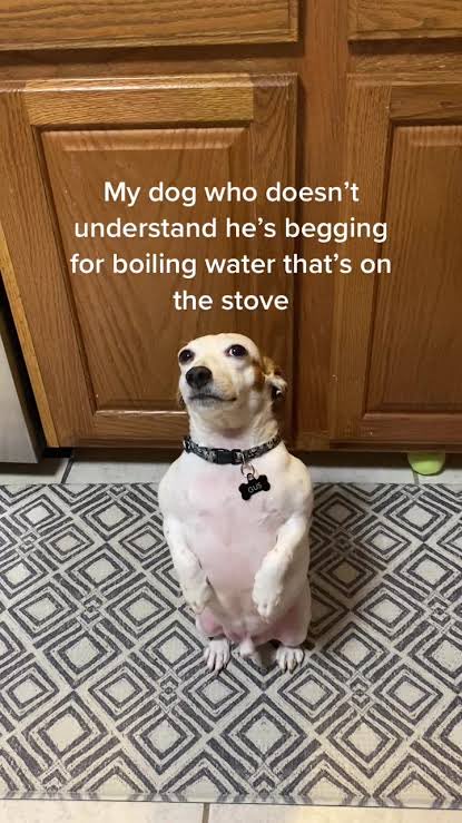 Niggas want PG lite to be a number 1 option in the offs? Yeah its finna quick postseason💀
