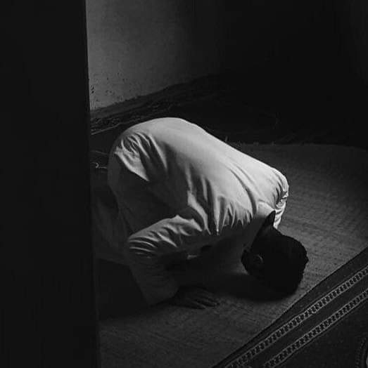 raway_alqasid's tweet photo. "أويتُ لله قبل الفجر في ثقةٍ
فكيف يُخذلُ من يأوي إلى اللهِ" https://t.co/VxluvOQ4Ew