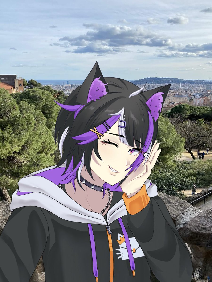 catseed 👑🐈⬛ || RTO tweet media