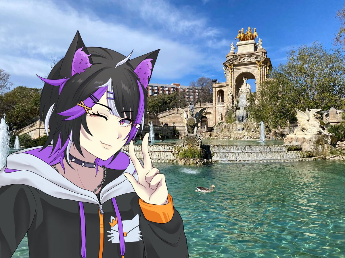 catseed 👑🐈⬛ || RTO tweet media