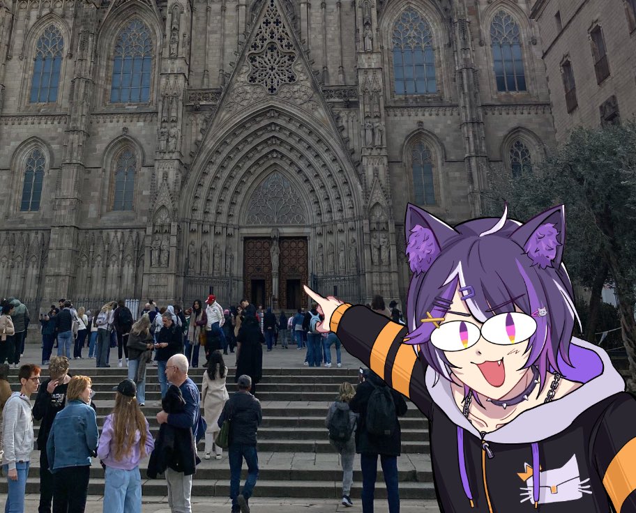 catseed 👑🐈⬛ || RTO tweet media