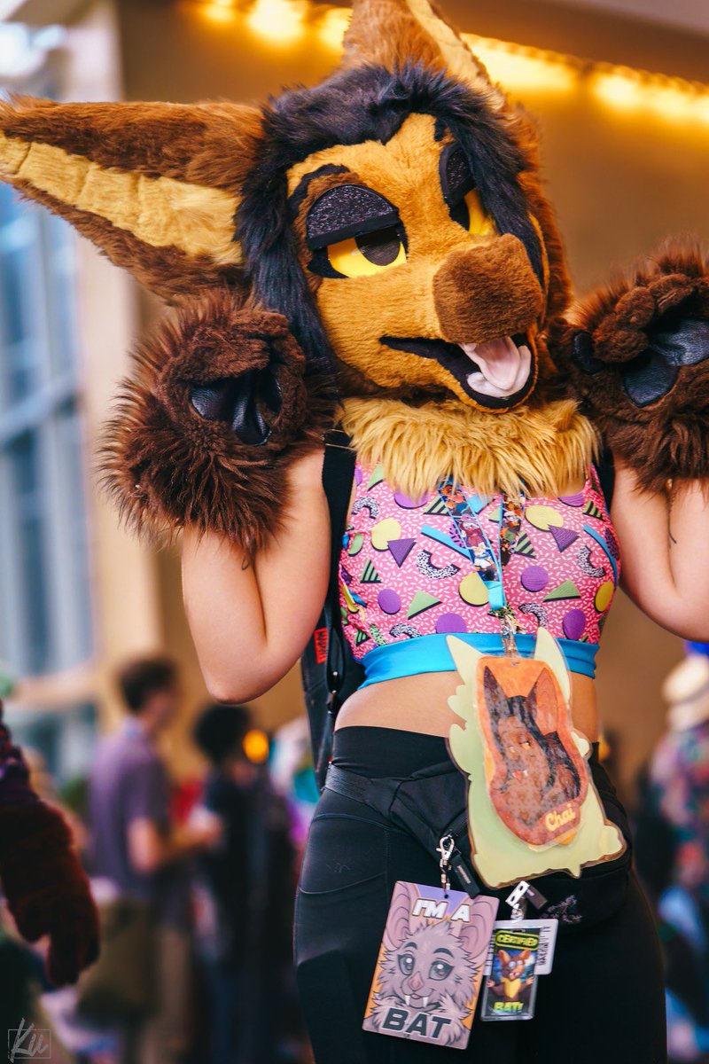 Chai 🌺☀️🦇 tweet media