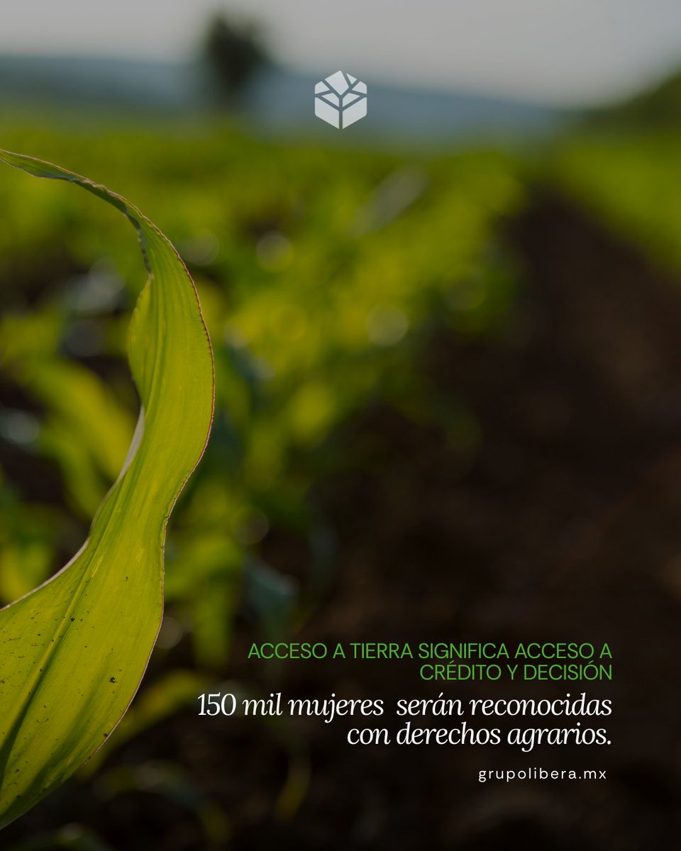 Hablar de propiedad también significa hablar de desarrollo, equidad y futuro.
En Libera creemos que el crecimiento del territorio debe caminar de la mano con el reconocimiento de los derechos y la dignidad de quienes lo habitan.

#libera #inversiónconpropósito #8M