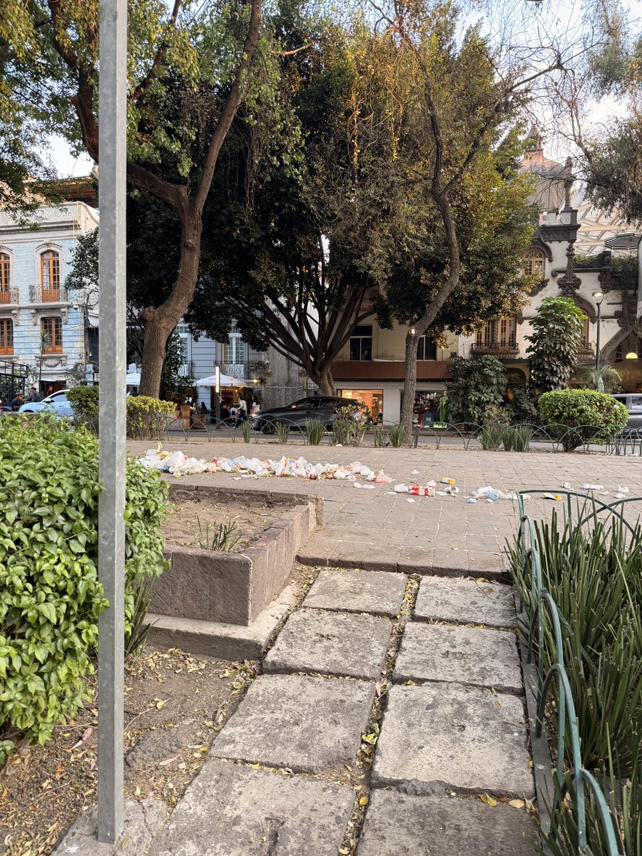 krlosrojas's tweet photo. Por favor si atienden el camellón de  Álvaro Obregón, por si no saben está lleno de basura y las jardineras y el adoquín sin mantenimiento @AlessandraRdlv @obdulioA https://t.co/anMn5jrE2D