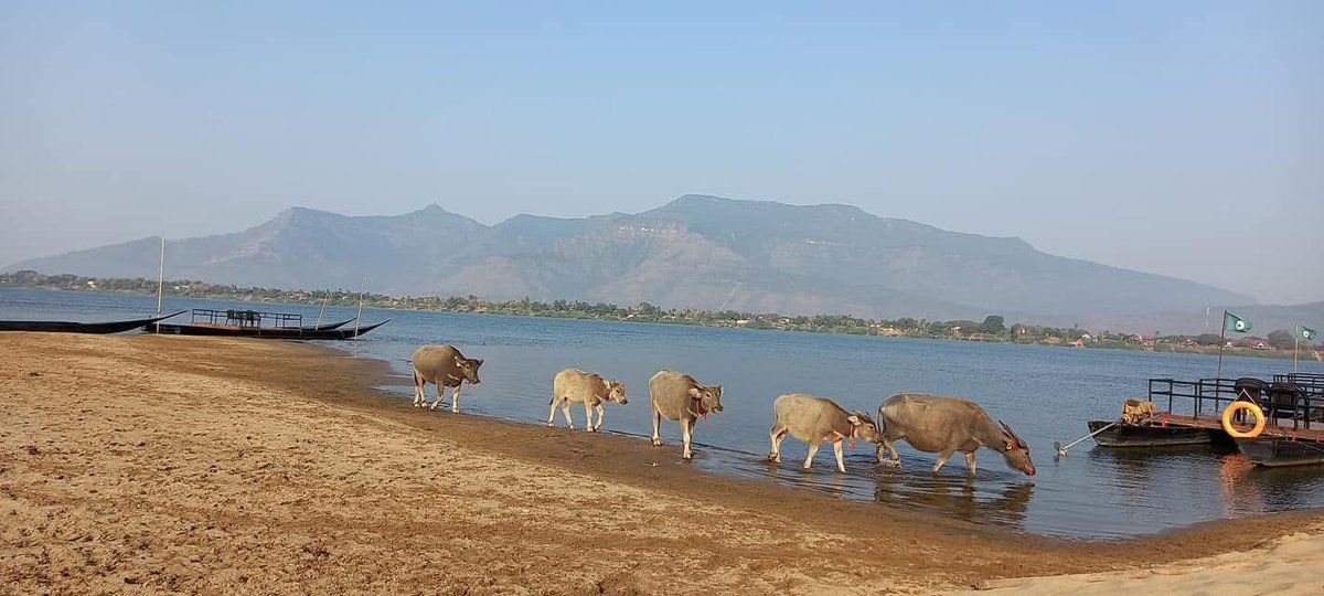 Living in Laos for 15 years changed how I see life.

Here are 5 things I learned about happiness:

1.Happiness is often found in very simple things
2.Community matters more than possessions
3.Good food shared with others is a form of wealth
4.Time in nature restores