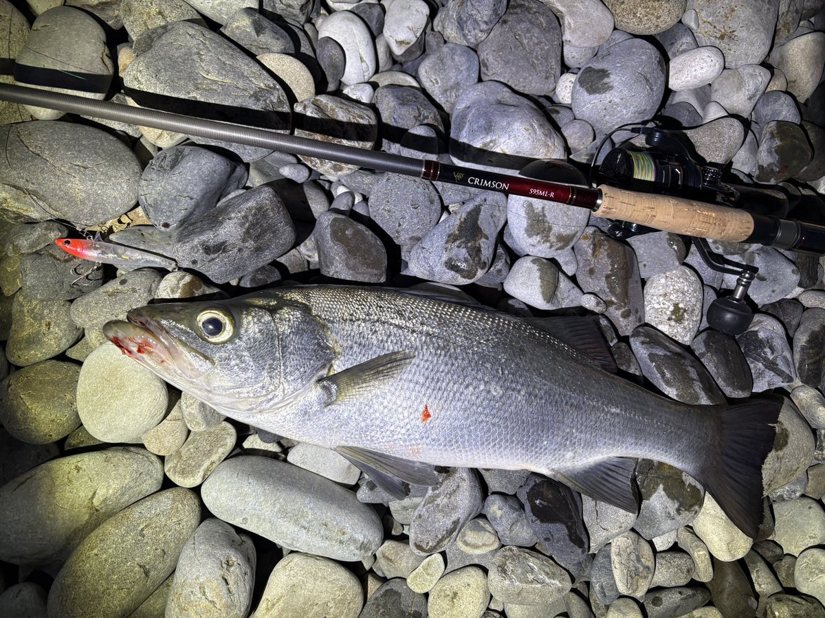 つっちゃん tweet media