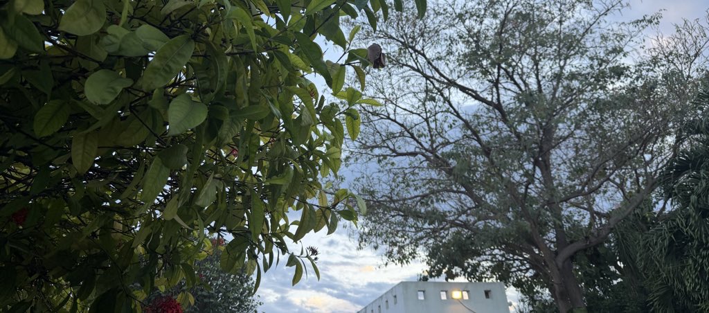 ignacio_gsa's tweet photo. What’s more beautiful than nature? https://t.co/Qw0scL6geJ