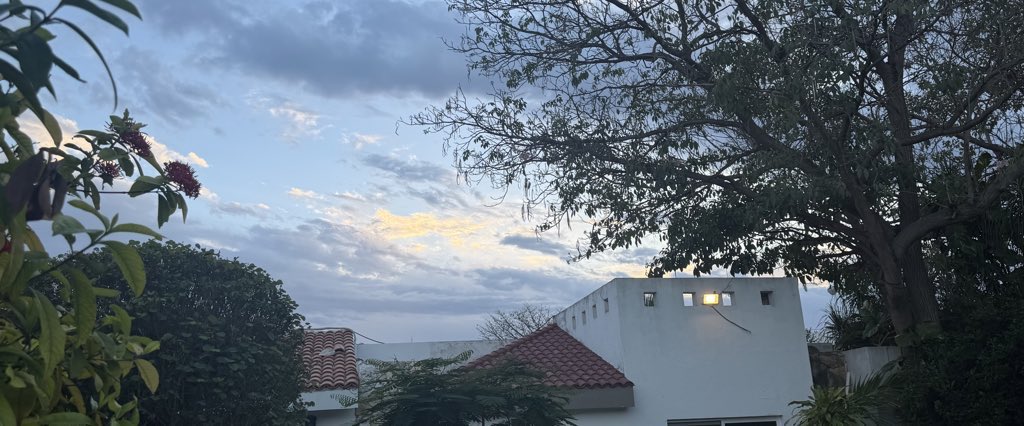 ignacio_gsa's tweet photo. What’s more beautiful than nature? https://t.co/Qw0scL6geJ