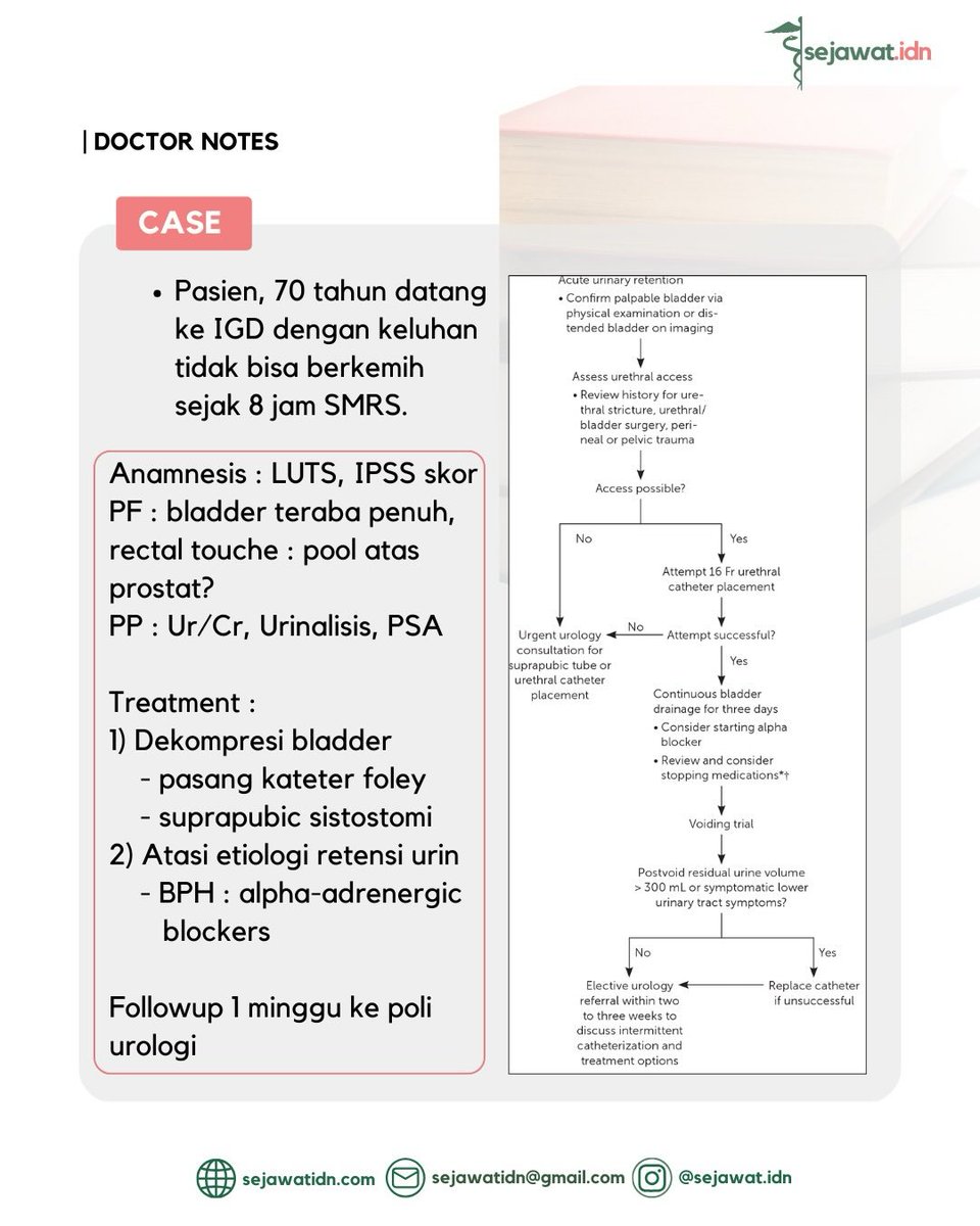 sejawat_idn's tweet photo. Halo, Sobat Minjaw!๐ฅฐ
Saat ada pasien datang dengan retensi urin akut, sebagai dokter IGD harus melakukan apa yaa? ๐ง
Yuk coba jawab soal diatas dan tuliskan jawaban kamu di kolom komentar!๐โ๐ป
#iship #bimbelkedokteran #mahasiswakedokteran #fkui #fkugm #fkuph https://t.co/P86NqSCwgG